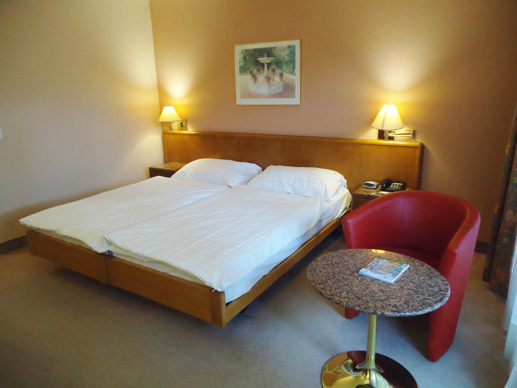 Hotel Le Cedre Bex Bilik gambar